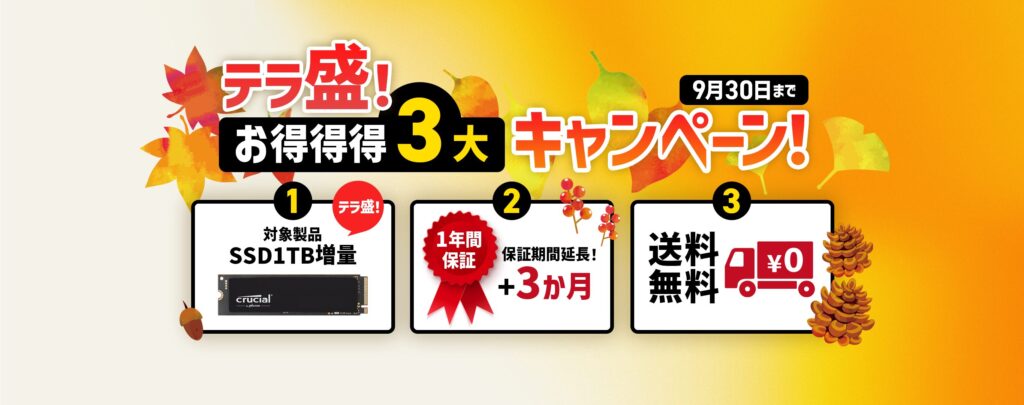 テラ盛